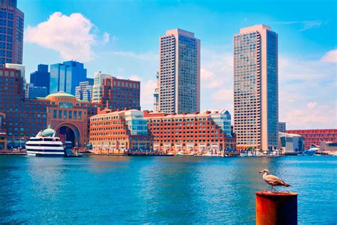 nonprofits in boston|best nonprofits in boston.